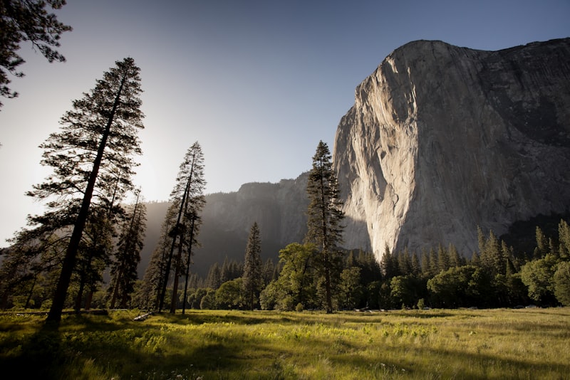 A lone traveller standing on a forest trail looking out toward distant mountains.